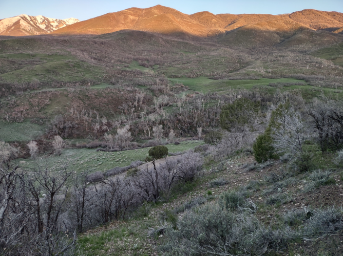 2025_20_scenery.png