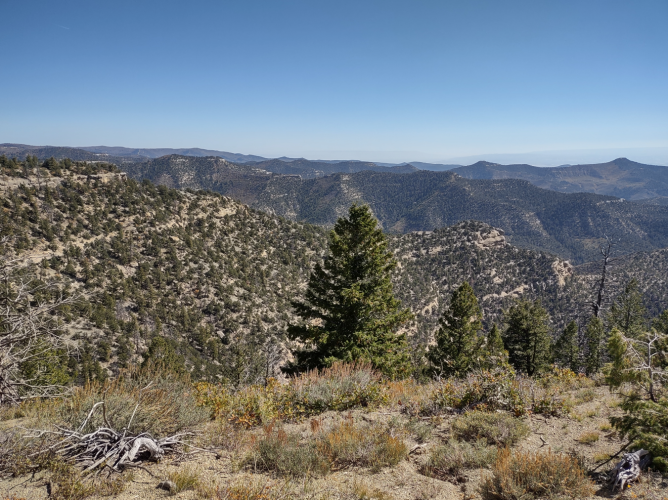 2025_22_scenery.png