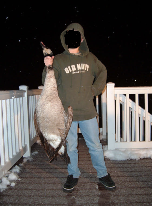 2025_25_goose_goals.png