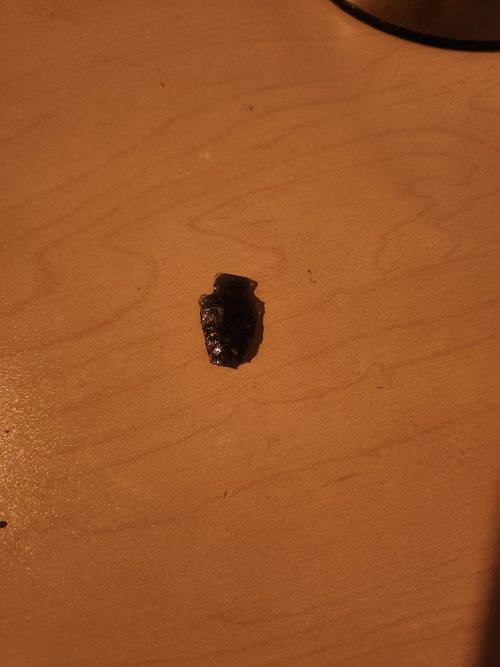20251101_201053.jpg