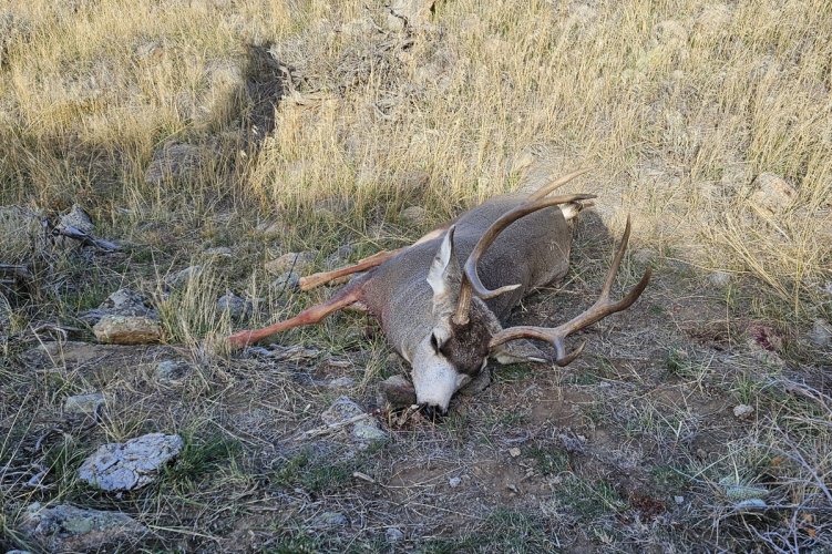 20251031_100126 copy.jpg