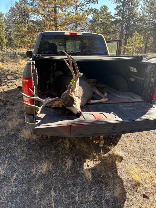 IMG_1540.jpeg IMG_1540.jpeg