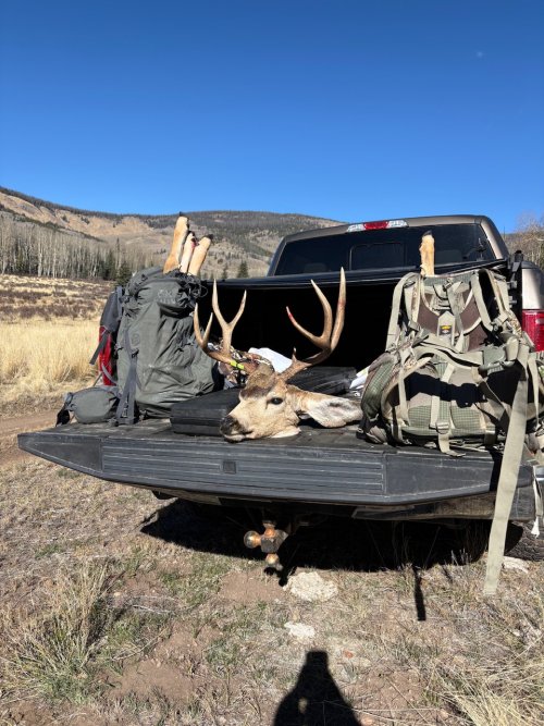 IMG_1452.jpeg IMG_1452.jpeg