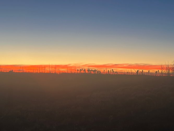 IMG_3289.jpeg