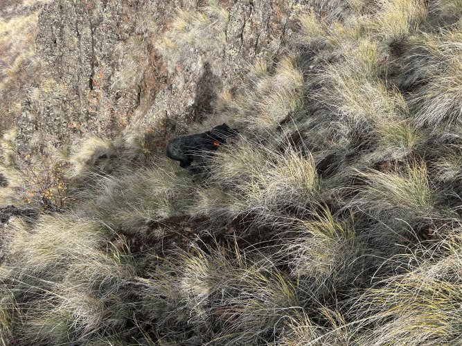 IMG_3492.jpeg IMG_3492.jpeg