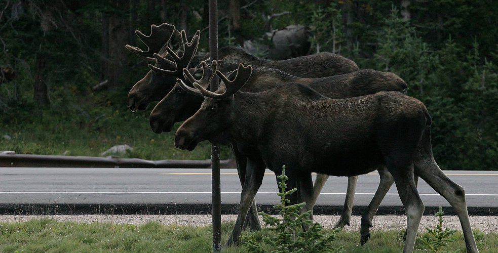 VZ8wvhV.jpg VZ8wvhV.jpg