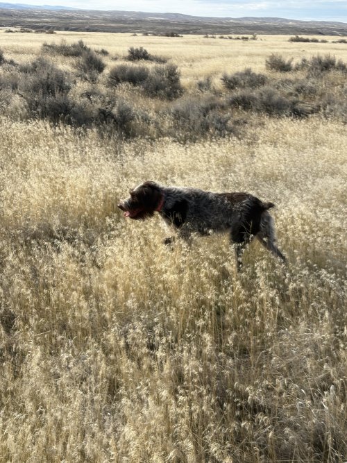 IMG_4504.jpeg