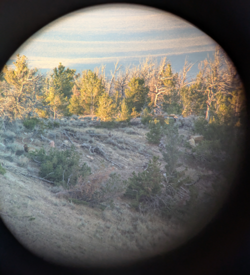 2025_28_bull.png 2025_28_bull.png