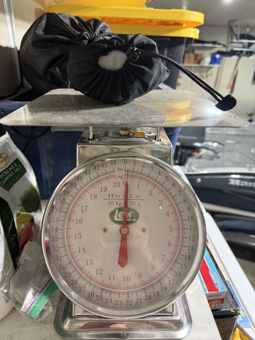 IMG_4579.jpeg IMG_4579.jpeg