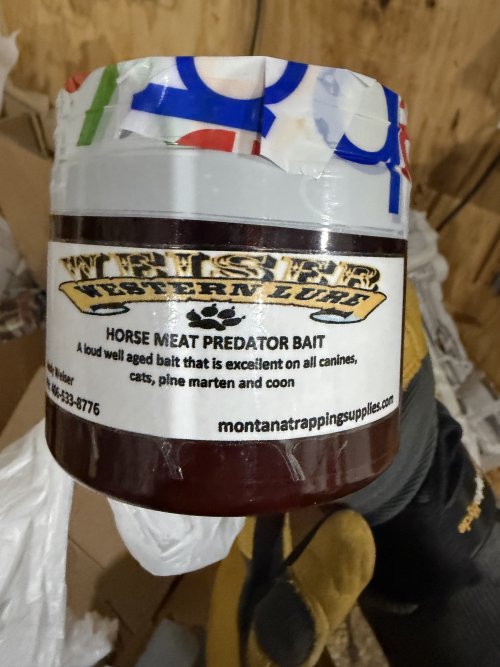 IMG_5508.jpeg IMG_5508.jpeg