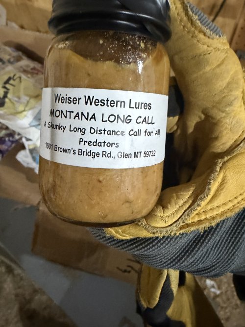 IMG_5506.jpeg IMG_5506.jpeg