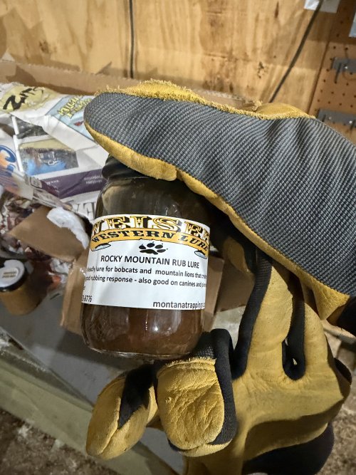 IMG_5507.jpeg IMG_5507.jpeg