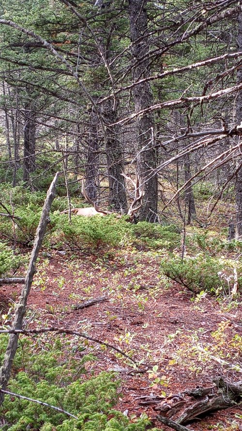 20250911_090801.jpg