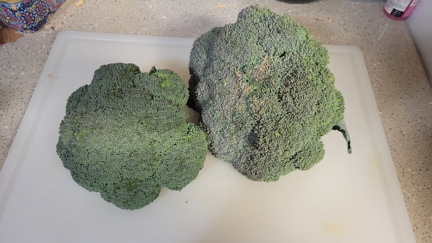 20251104_170847.jpg 20251104_170847.jpg