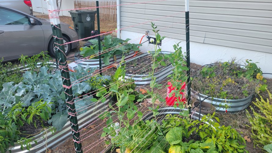 20251104_170452.jpg 20251104_170452.jpg