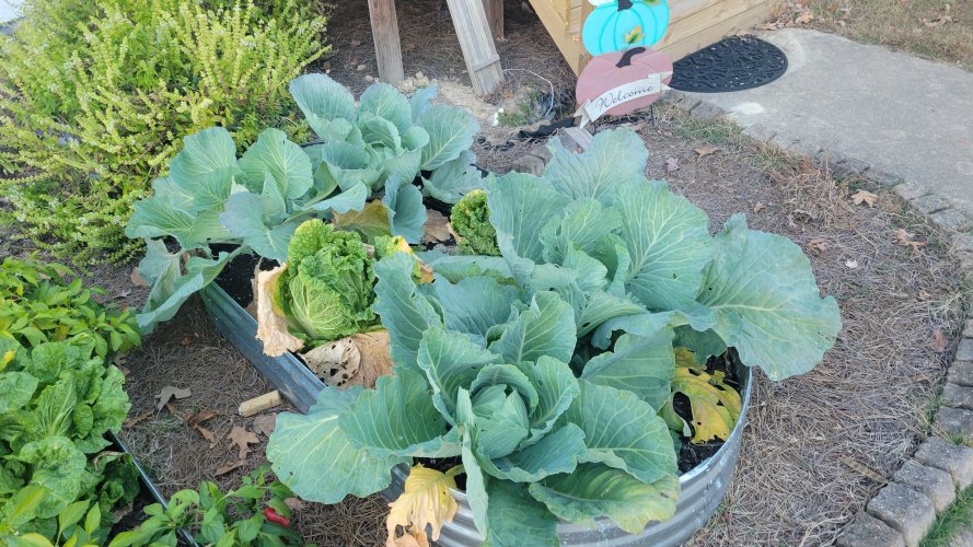 20251104_170450.jpg 20251104_170450.jpg