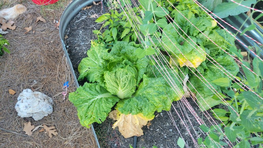 20251104_170446.jpg 20251104_170446.jpg