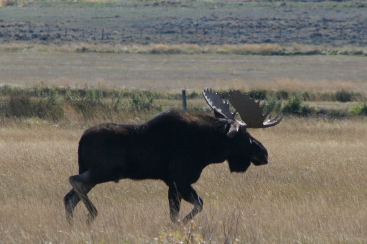 1000010304.jpg 1000010304.jpg