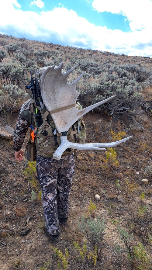 1000003248.jpg 1000003248.jpg