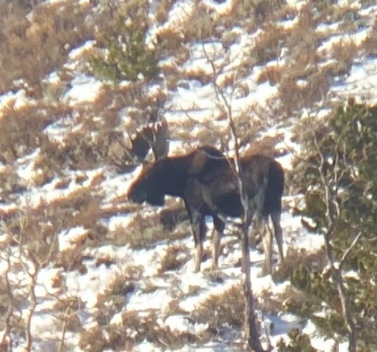 IMG_7624.jpeg IMG_7624.jpeg