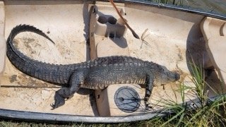 Attachment.jpg Attachment.jpg