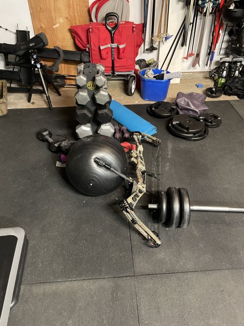 IMG_8730.jpeg IMG_8730.jpeg