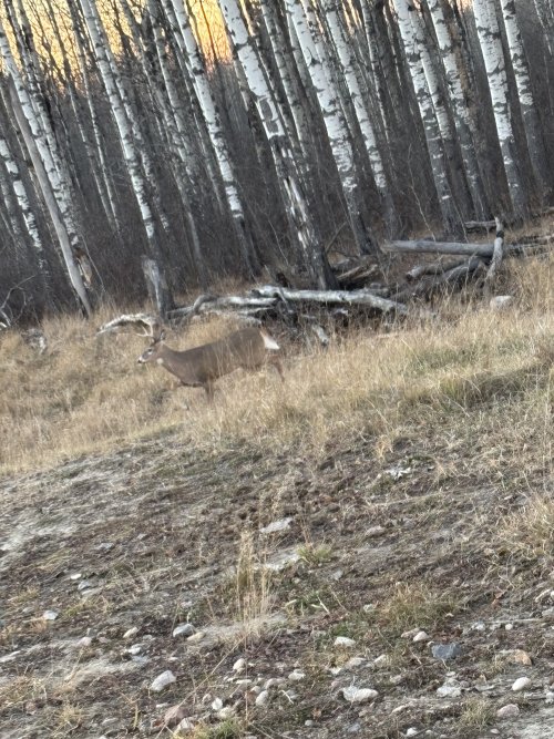 IMG_3828.jpeg IMG_3828.jpeg