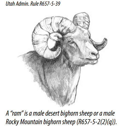 2025_32_ram.png 2025_32_ram.png