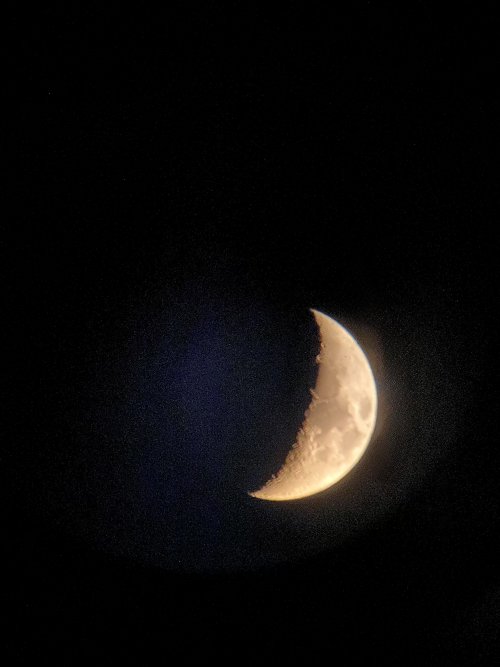 IMG_1922.jpeg IMG_1922.jpeg