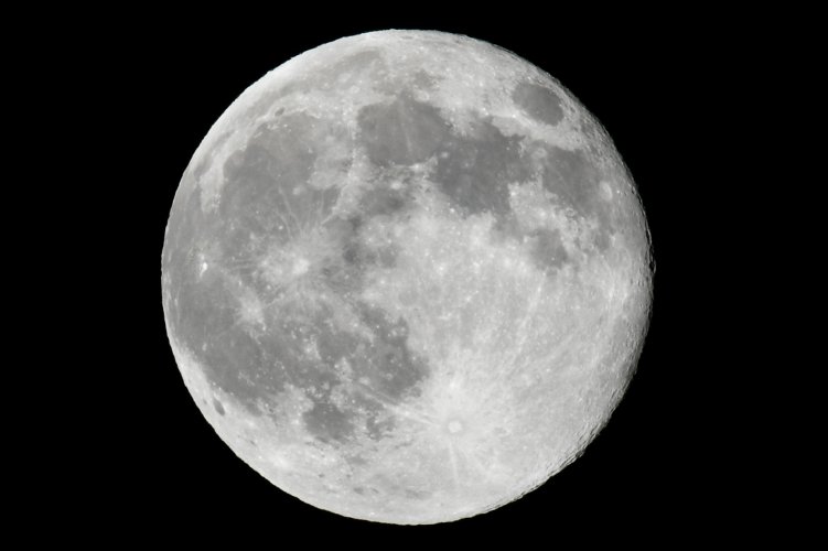 DSC_2588.jpeg DSC_2588.jpeg