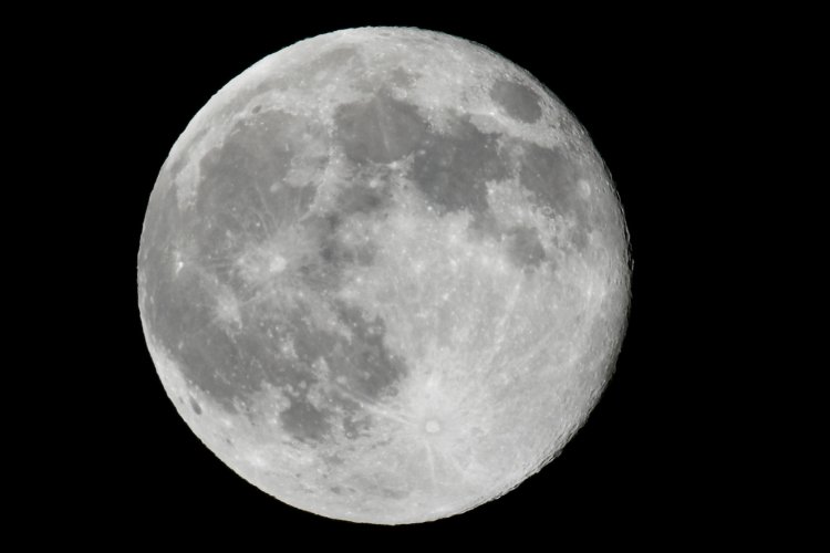 DSC_2590.jpeg DSC_2590.jpeg