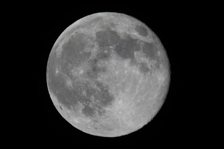 DSC_2589.jpeg DSC_2589.jpeg