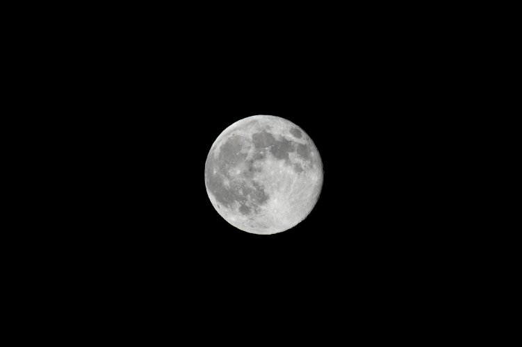 DSC_2591.jpeg DSC_2591.jpeg