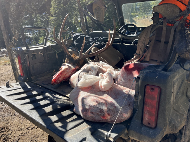 1762442432004.png 1762442432004.png