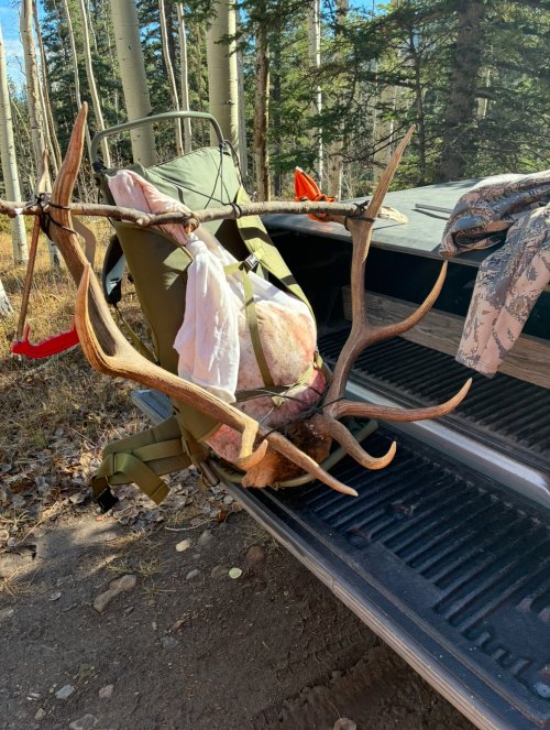 IMG_2476.jpeg IMG_2476.jpeg