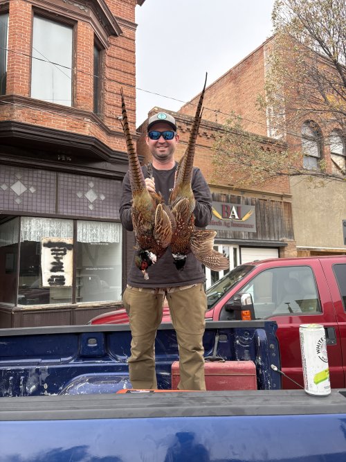 IMG_7014.jpeg IMG_7014.jpeg