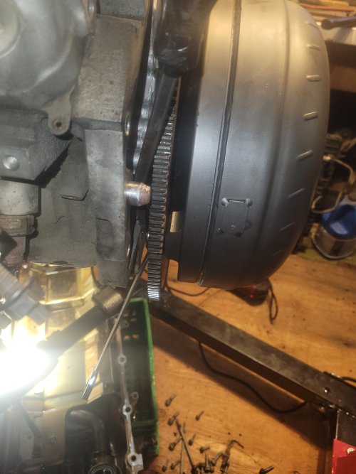 20251105_125909.jpg 20251105_125909.jpg