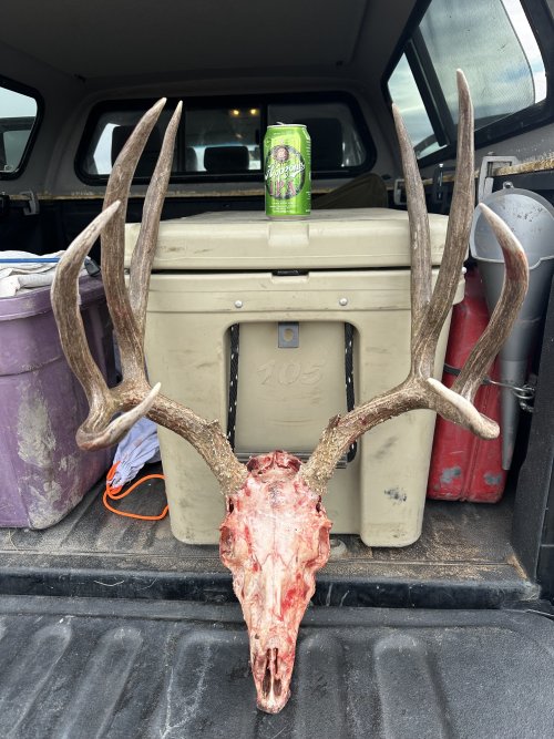 IMG_3466.jpeg IMG_3466.jpeg