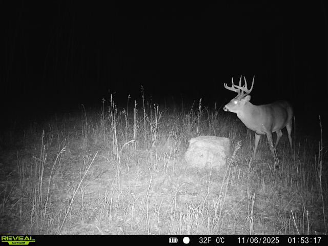 860322061671134-50-3-11062025015318-W1000913.jpeg 860322061671134-50-3-11062025015318-W1000913.jpeg