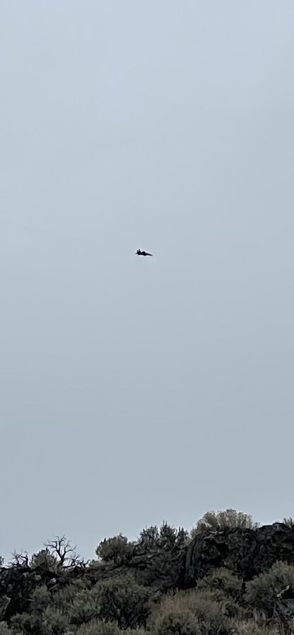 IMG_3547.jpeg