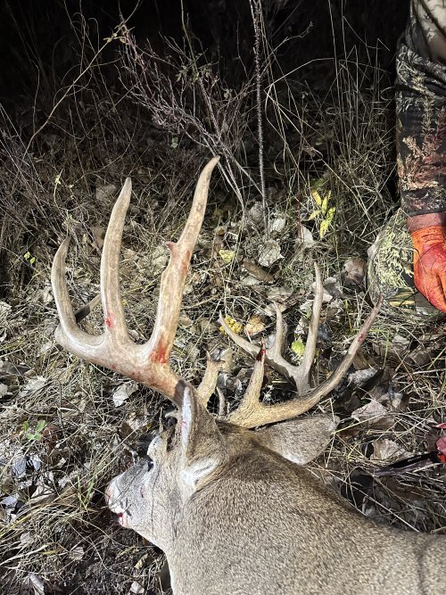 IMG_9571.jpeg IMG_9571.jpeg