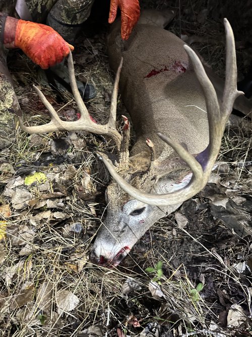 IMG_9572.jpeg IMG_9572.jpeg