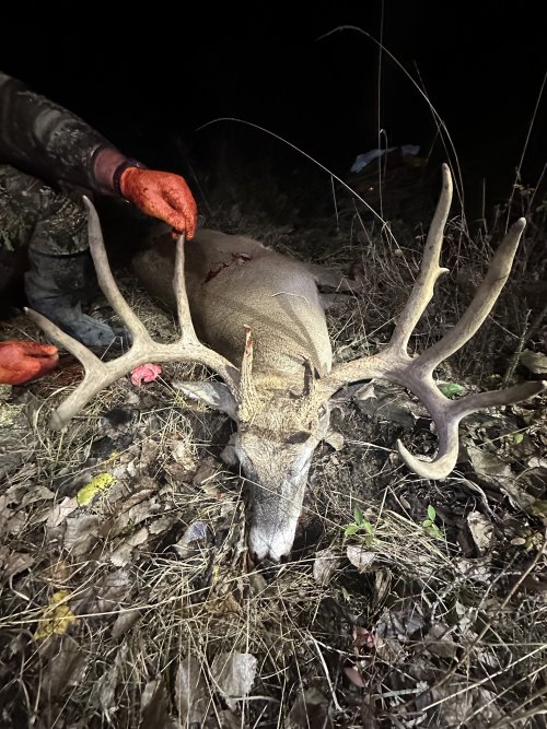 IMG_9574.jpeg IMG_9574.jpeg