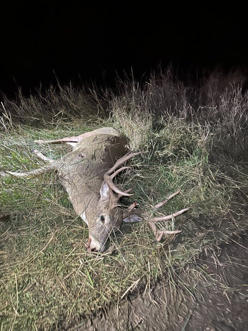 IMG_9588.jpeg IMG_9588.jpeg