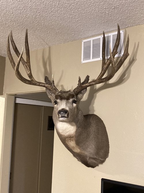 IMG_1683.jpeg IMG_1683.jpeg