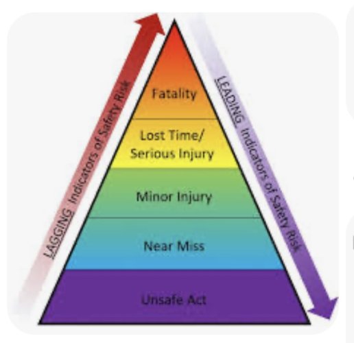 IMG_5317.jpeg IMG_5317.jpeg