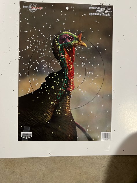 IMG_3772.jpeg IMG_3772.jpeg