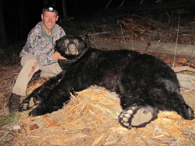 IMG_4116.jpeg IMG_4116.jpeg