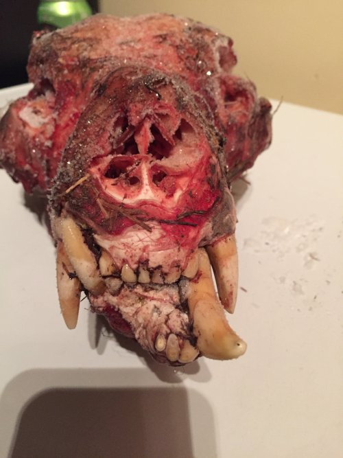 IMG_4244.jpeg IMG_4244.jpeg