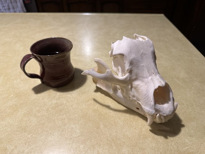 IMG_3512.jpeg IMG_3512.jpeg